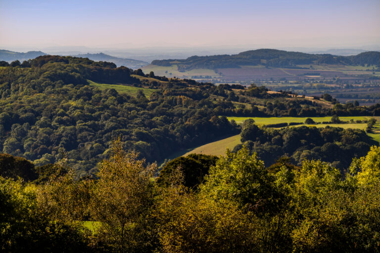 view of the cotswolds from broadway tower worcestershire england uk shows rolling hills and trees