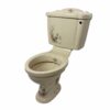 Floral Champagne Traditional Close Coupled Toilet