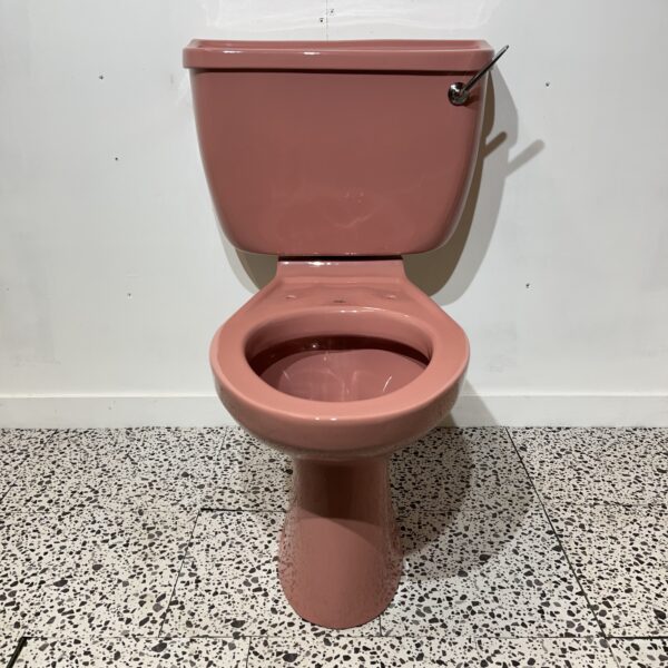 Retro Royal Doulton Cameo Pink Optima Close Coupled Toilet H.O - Image 2